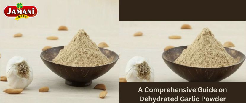 A Comprehensive Guide on Dehydrated Garlic Powder