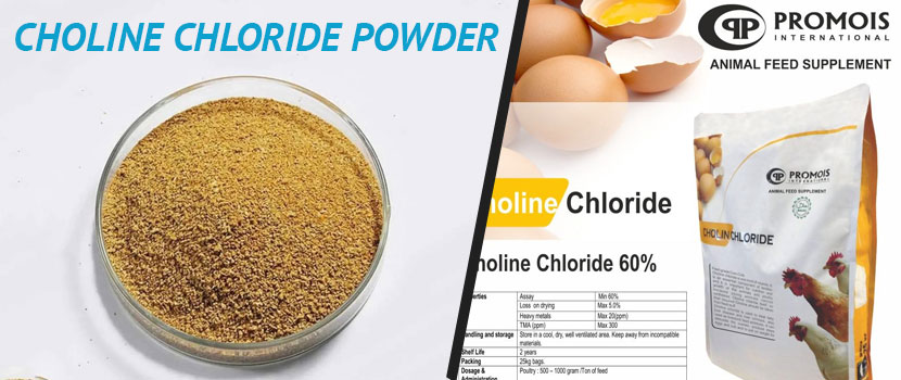 Choline Chloride Powder Supplier - Giving Quality and Reliability