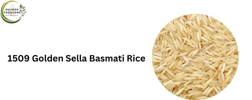 1509 Golden Sella Basmati Rice Supplier