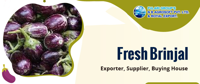 Things to Remember Before Choosing Among Vegetables Exporters in India