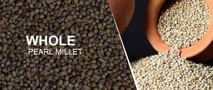 Top 5 Benefits of Adding Whole Pearl Millets to Your Store’s Inventory