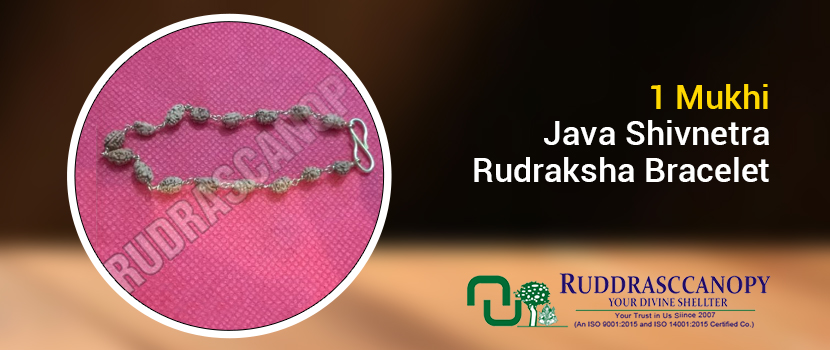 Unlock the Power of Nature with a Rudraksha Bracelet