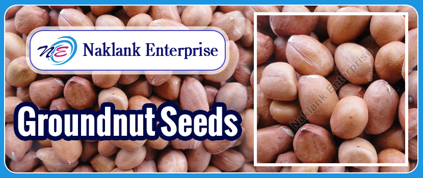 The Importance of Buying Groundnut Seeds from Trusted Suppliers