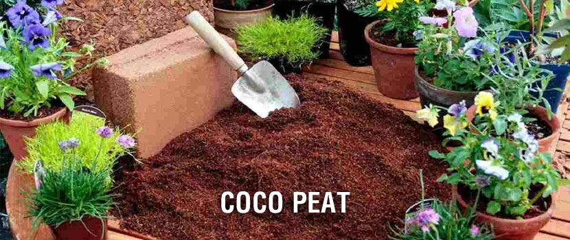 Top 5 Uses of Coir and Coco Peat You Should Know