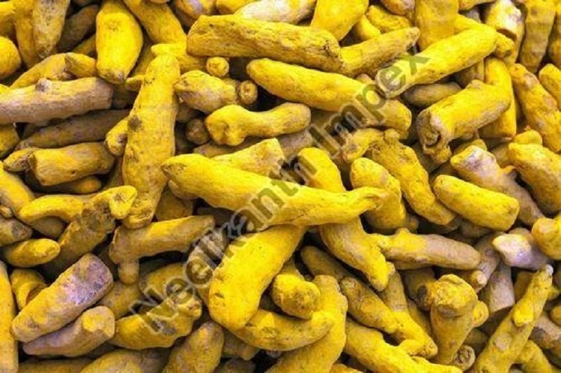 The Health Benefits of Whole Turmeric Finger: Works as suitable Natural Immunity Booster