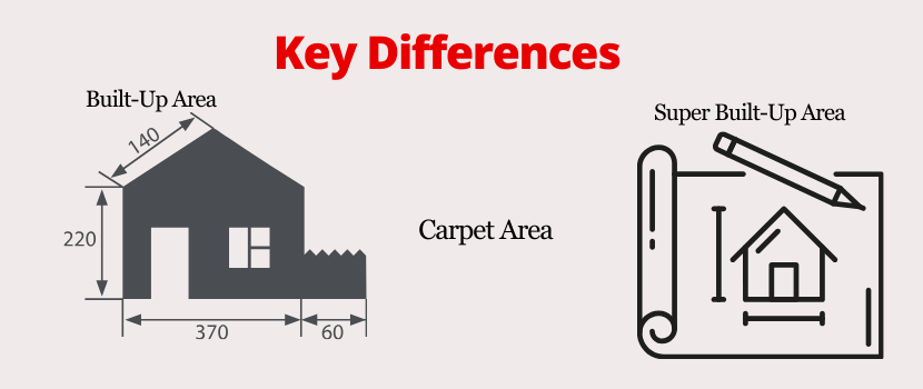 Carpet Area vs. Built-Up Area vs. Super Built-Up Area: Key Differences Explained
