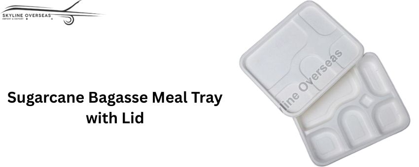 Eco-Friendly Sugarcane Bagasse Meal Tray with Lid: A Sustainable Choice