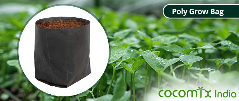 How to Pick the Right Poly Grow Bags from a Trader in Coimbatore?