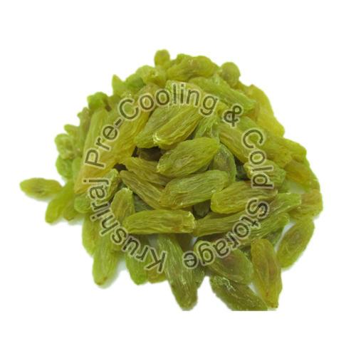 Prime Reasons for Wholesale Green Raisins Suppliers in India