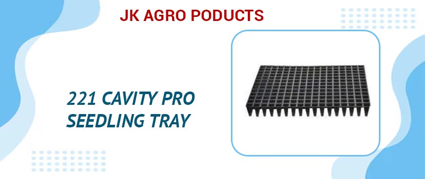 Why the 221 Cavity Pro Seedling Tray Is Every Grower’s Secret Weapon?