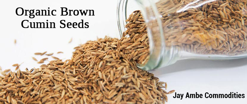 Why Cumin Seeds are considered one of the vital ingredients in Indian cuisine?