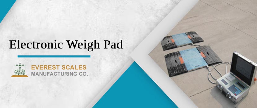 7 Reasons Why Your Business Needs an Electronic Weigh Pad Today