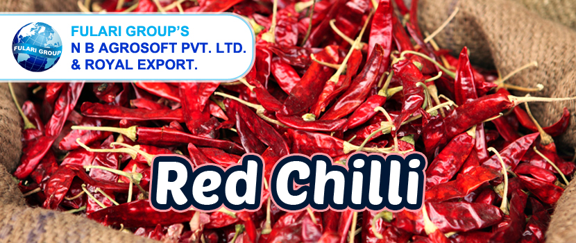 Spicing Up the World: The Rise and Reach of Red Chilly Exporters