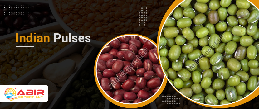 Reasons to Buy Indian Pulses From a Trusted Exporter