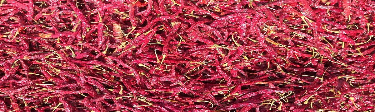 Reasons To Opt For Wonder Hot Red Chilli