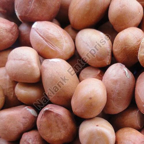 Why Buying Groundnut Seeds from a Trusted Trader Isn’t Just Smart—It’s Essential