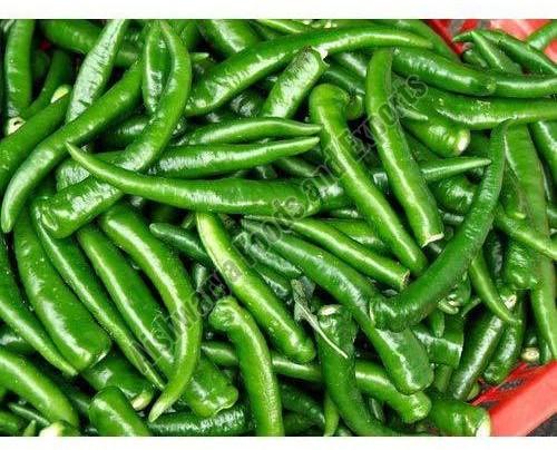 Grade a Green Chili: Freshness and Spice at Its Best