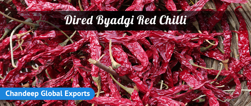 Dried Byadgi Red Chilli Supplier: The most reliable source for the most Premium Quality Spices