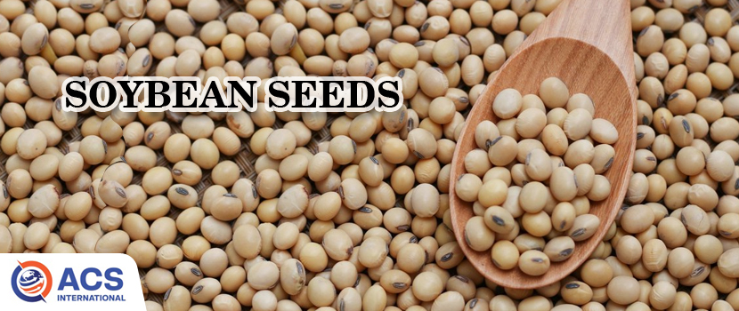 Sorghum and Soybean: Nutritional Crops with Global Importance