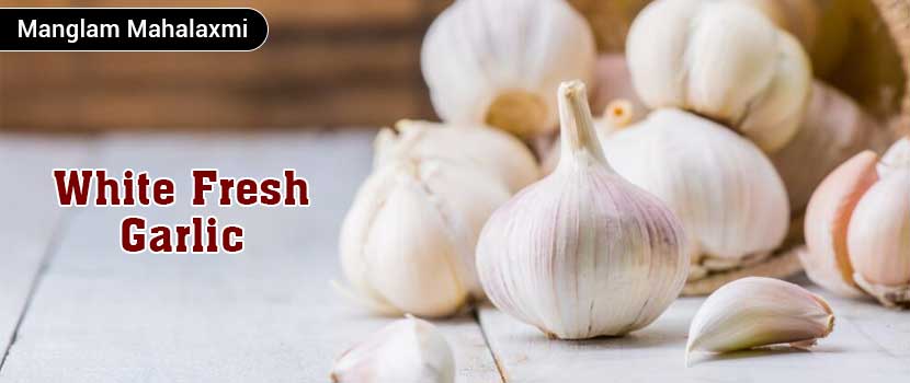 What You Really Need to Know Before Choosing a White Fresh Garlic Exporter?