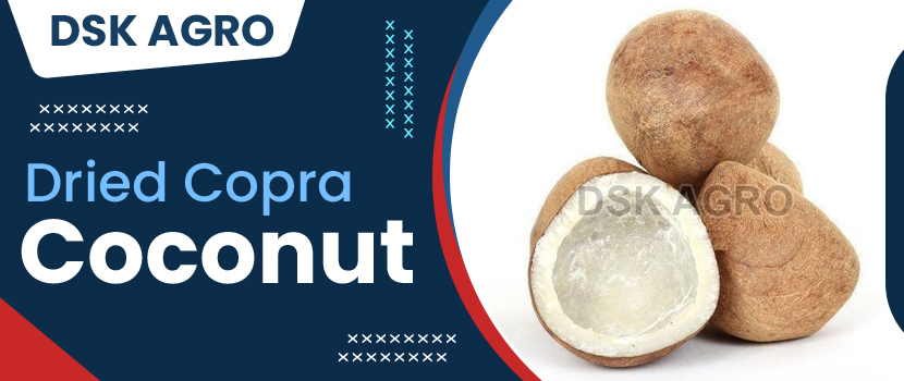 How to Pick a Natural Copra Coconut Supplier Without Losing Your Mind?