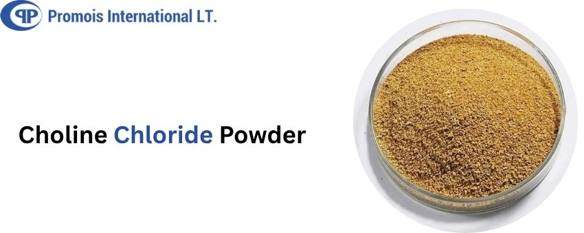 Choline chloride powder: a vital nutrient for animal health