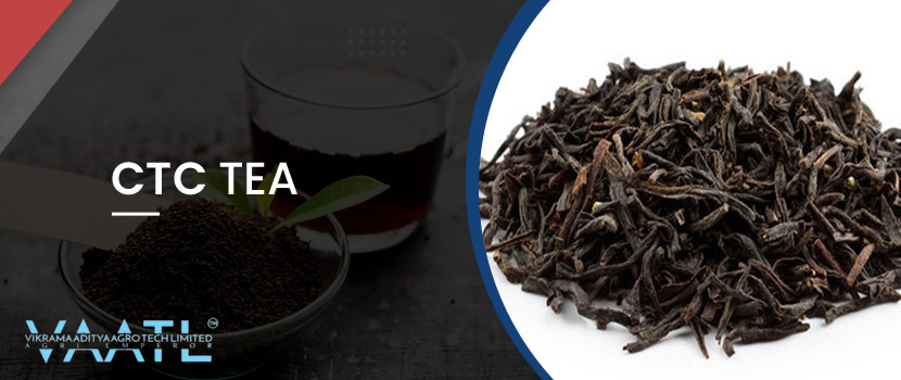 India’s Booming Tea Industry and the Role of Tea Traders In India