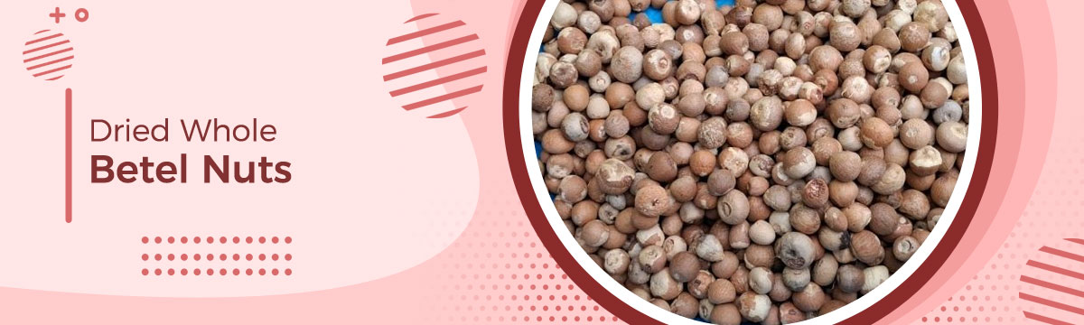 Wholesale Dried Whole Betel Nuts – Some of the interesting facts about this nut