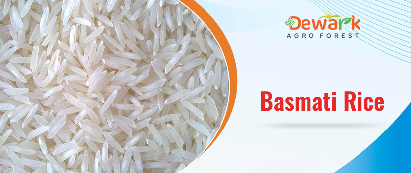 How to Spot the Real Deal - Choosing the Right Basmati Rice Supplier from India