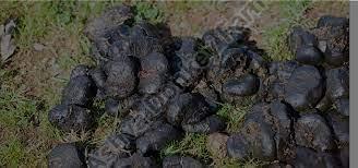 How to Not Get Swindled Buying Donkey Dung—A Detailed Guide