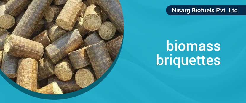 What Smart Buyers Look For The Best Biomass Briquettes Trader?