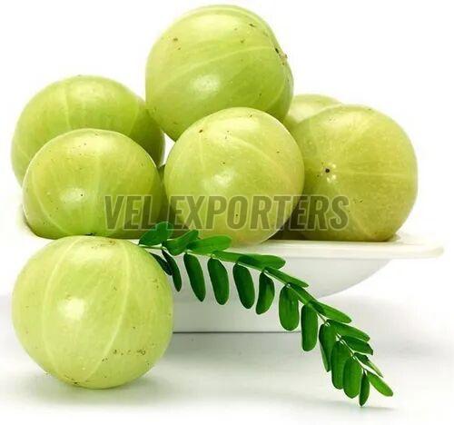 Key Considerations for Choosing the Right Fresh Amla Supplier