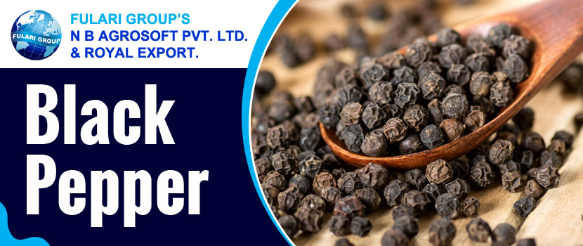 Black Pepper Exporters in India: Unveiling the Advantages of Black Pepper