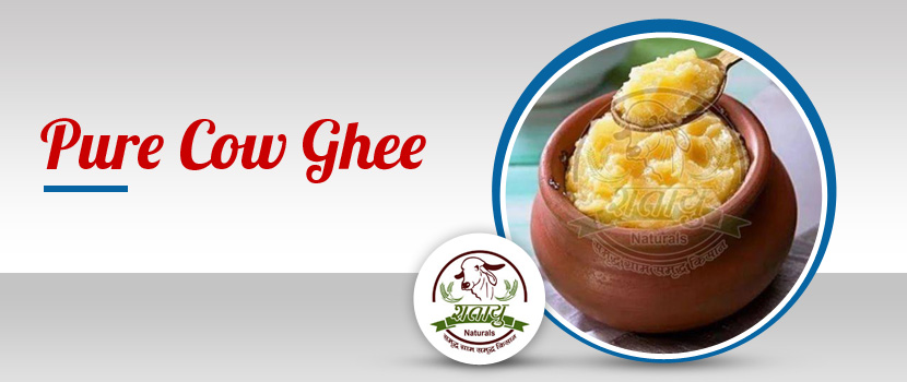 Pure Cow Ghee Reveals the Golden Elixir of Ayurveda