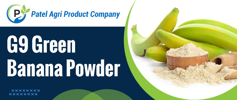 Top Qualities to Look for in a Trusted G9 Green Banana Powder Exporter