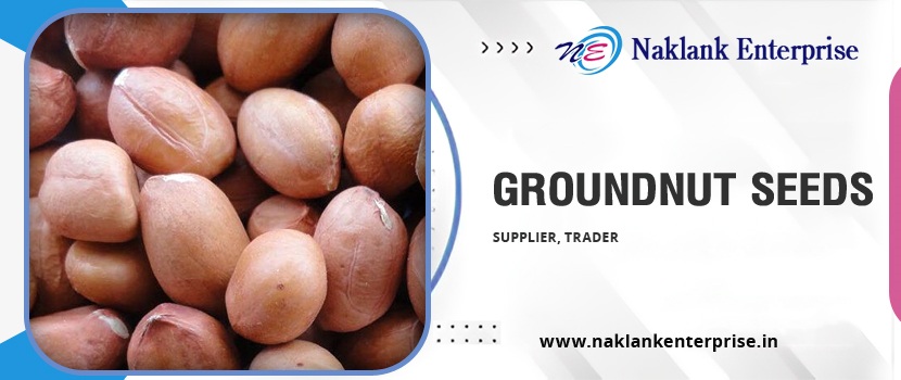 Groundnut Seeds: Popular and Versatile Seeds