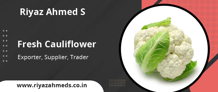 Fresh Cauliflower: A Versatile and Nutritious Vegetable