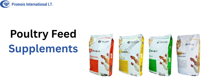 How to Choose the Right Poultry Feed Supplements