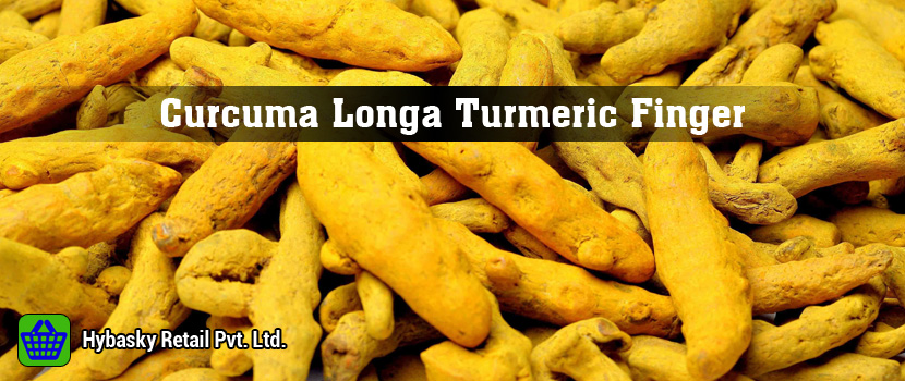 Why Working with a Trusted Curcuma Longa Supplier Isn’t Just Smart—It’s Essential for Your Business