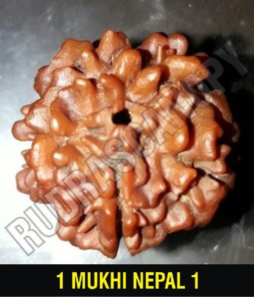 Incredible Benefits of Nepal Rudraksha Beads