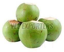 Fresh Tender Coconut - A Cool Taste of Nature.