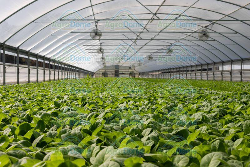 Agriculture Greenhouse: Enhancing Farming Efficiency