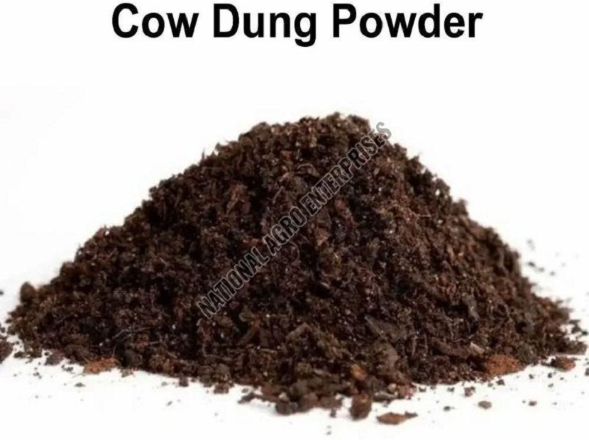 Brown Cow Dung Powder – Its significant benefits and uses