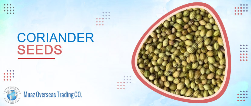 Green Cardamom: A Multifunctional Spice to Culinary Delights.