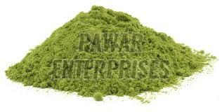 All You Need to Know About Moringa Powder