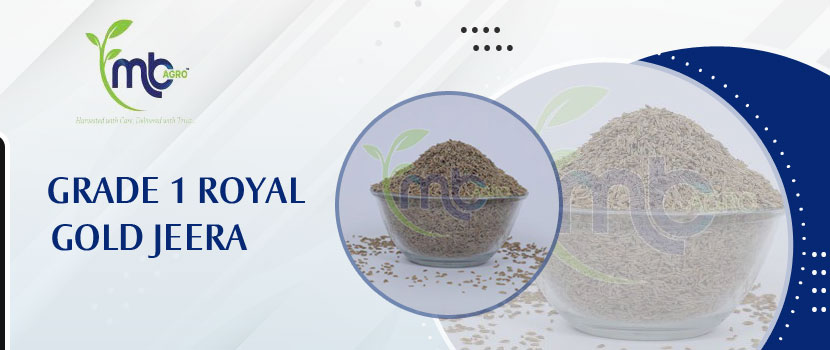 Royal Gold Jeera: A Manufacturer Committed to Quality