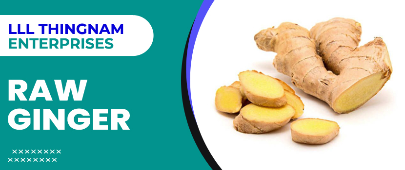 Raw Ginger Supplier: Quality and Freshness Guaranteed