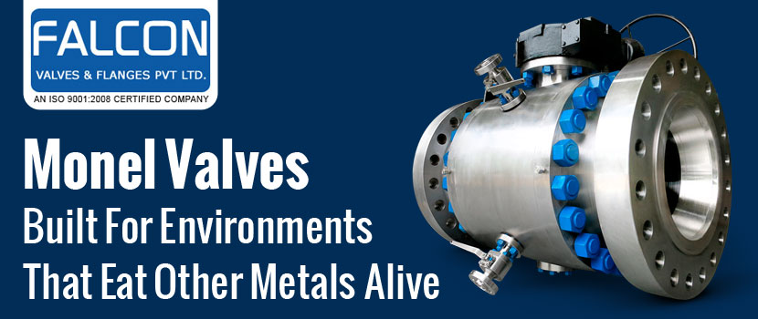 Monel Valves – Built for Environments That Eat Other Metals Alive