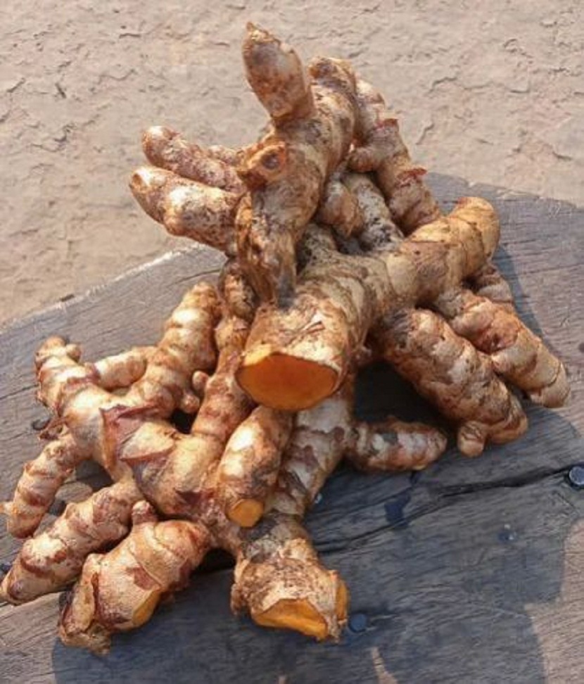 Why Businesses Prefer Importing Raw Turmeric Finger from India