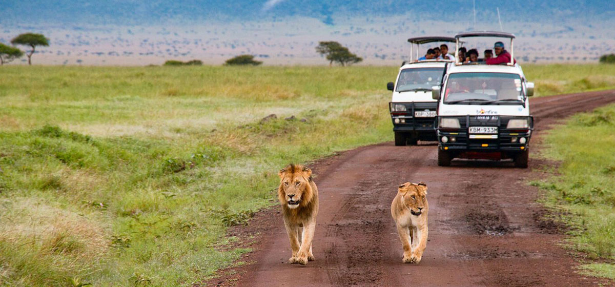 Kenya Adventure Tours Package - Wild and Wondrous Experience: